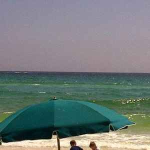 Meet your Posher, Gene